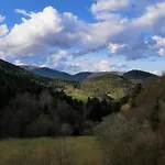 Hotel Hotel-spa&restaurant Logis Domaine Langmatt Murbach