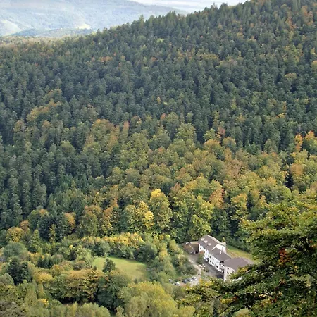 Hotel Hotel-spa&restaurant Logis Domaine Langmatt