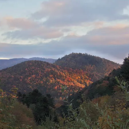 Szálloda Hotel-spa & Restaurant Logis Domaine Langmatt Murbach