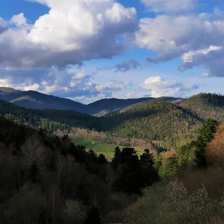 Hotel-spa&restaurant Logis Domaine Langmatt Hotel Murbach