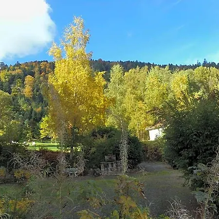 ホテル D'hotes - Sauna & Bien-etre Logis Domaine Langmatt