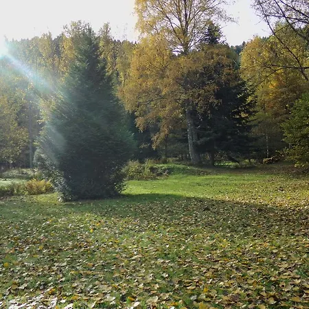 ホテル D'hotes - Sauna & Bien-etre Logis Domaine Langmatt
