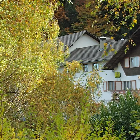 Hotel-spa & Restaurant Logis Domaine Langmatt 4* Murbach