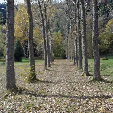 Hotel Hotel-spa&restaurant Logis Domaine Langmatt Murbach