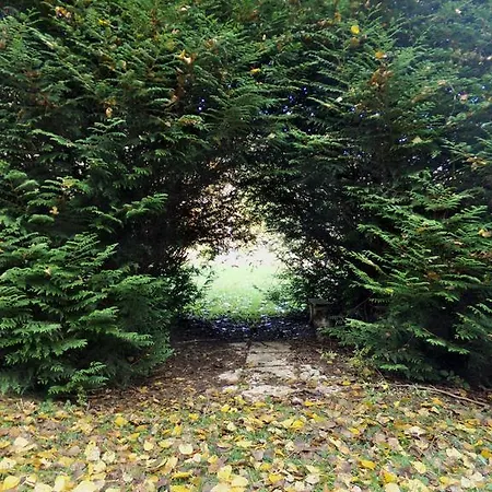 Hotel-spa&restaurant Logis Domaine Langmatt Murbach