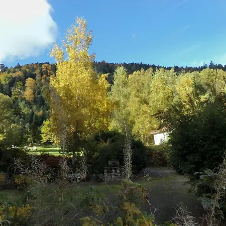 ホテル D'hotes - Sauna & Bien-etre Logis Domaine Langmatt 4*