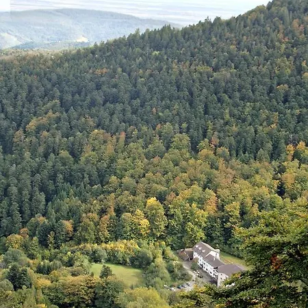 Szálloda Hotel-spa & Restaurant Logis Domaine Langmatt 4*