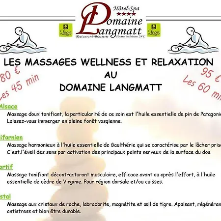 Hotel Hotel-spa&restaurant Logis Domaine Langmatt 4*