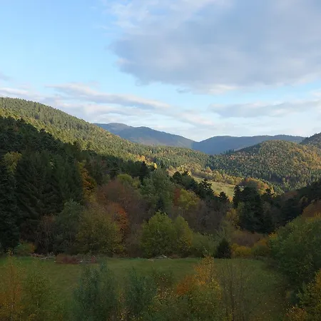 D'hotes - Sauna & Bien-etre Logis Domaine Langmatt 4* ムルバッハ