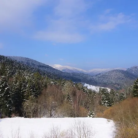 Hotel Hotel-spa&restaurant Logis Domaine Langmatt Murbach