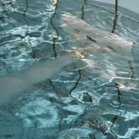 Hotel-spa&restaurant Logis Domaine Langmatt Hotel 4*