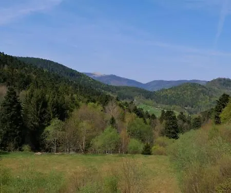 Szálloda Hotel-spa & Restaurant Logis Domaine Langmatt Murbach