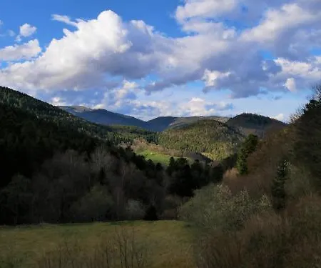 Hotel Hotel-spa&restaurant Logis Domaine Langmatt Murbach