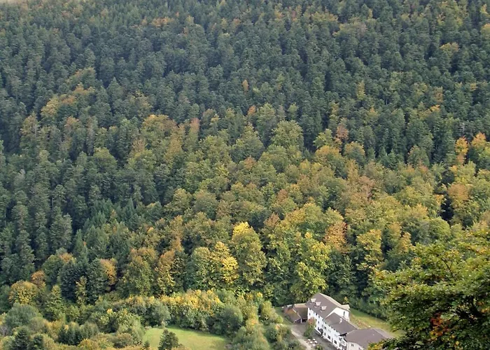 Hotel Hotel-spa & Restaurant Logis Domaine Langmatt